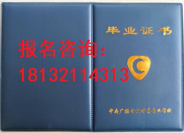 電大中?？荚囋趺崔k