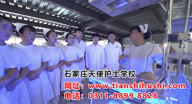 2026年石家莊天使護(hù)士學(xué)校報名錄取條件