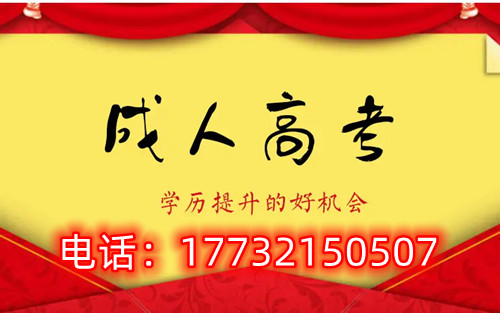 干貨！備考必讀，成考不踩雷！