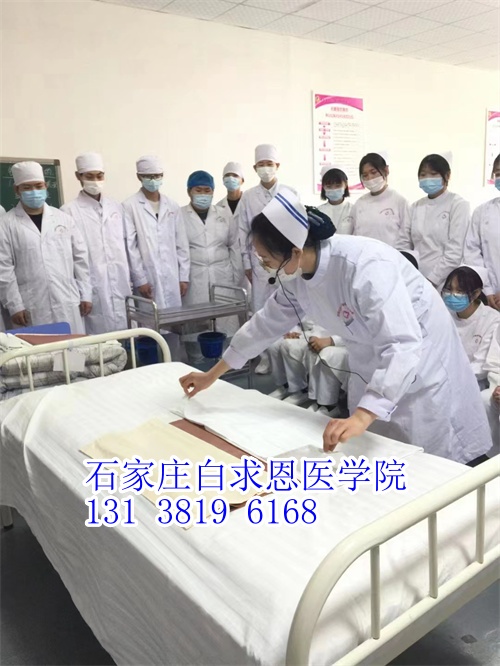 河北對(duì)口高考和對(duì)口單招有什么不同？