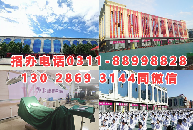 2026年石家莊天使護(hù)士學(xué)校秋季招生簡(jiǎn)章