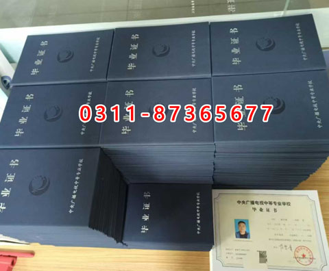 學(xué)信網(wǎng)上都能查詢什么學(xué)歷呢？